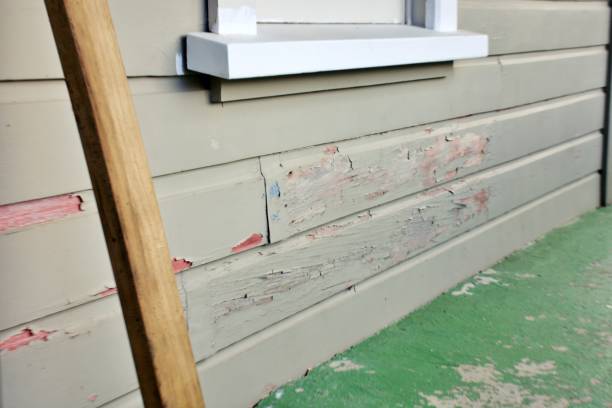Best Custom Trim and Detailing for Siding  in Washington, NJ